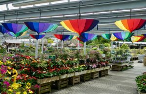 Rainbow Gardens Nursery & Florist — Stamford