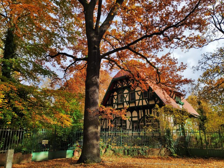 Oak Hill Cottage — Akron