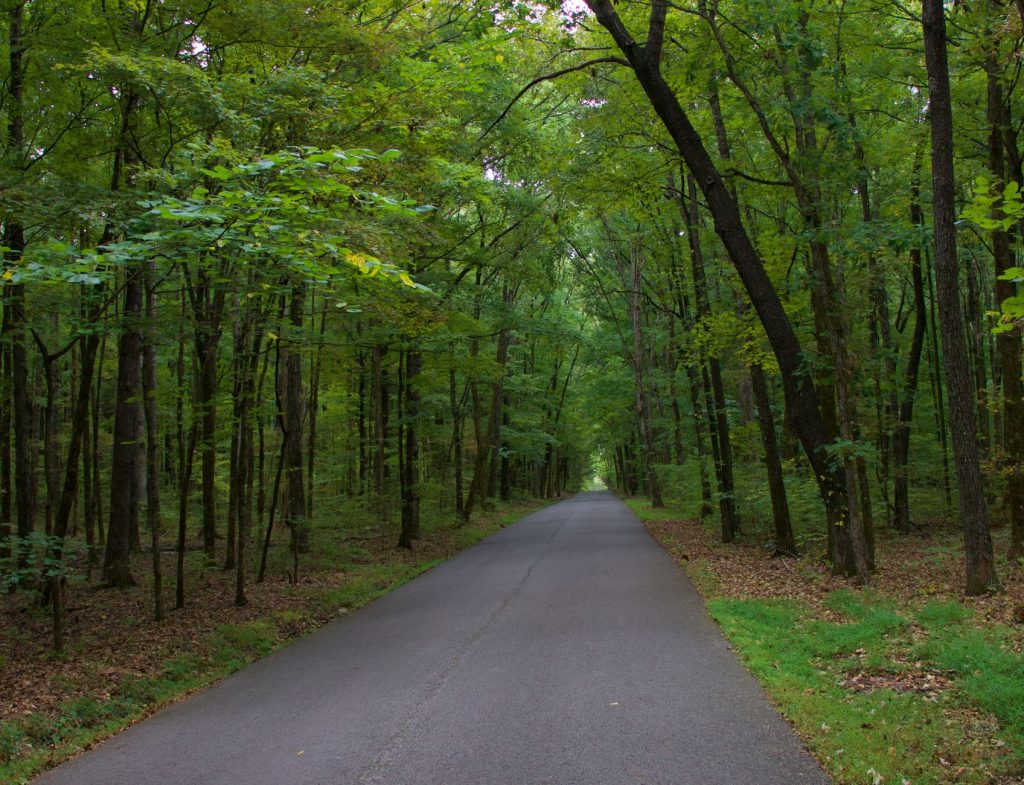Shades Creek Greenway Canoe Launch at Lakeshore Drive — Hoover