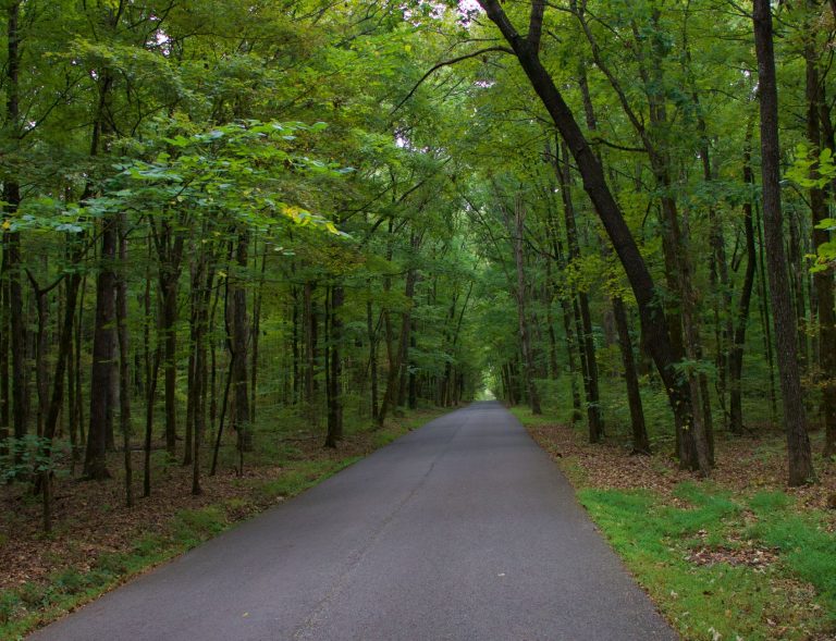 Shades Creek Greenway Canoe Launch at Lakeshore Drive — Hoover