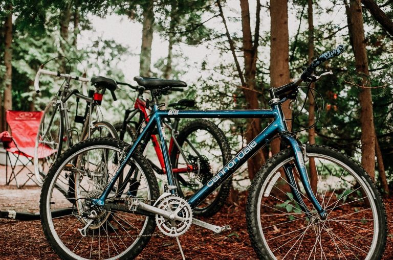 Kathryn Abbey Hanna Park — Mountain Bike Trails — Jacksonville