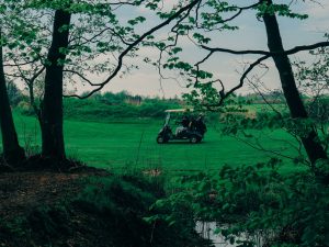 Petrifying Springs Golf Course — Kenosha