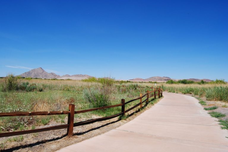 Mesilla Valley Bosque State Park – Visitor Center Trail Loop — Las Cruces