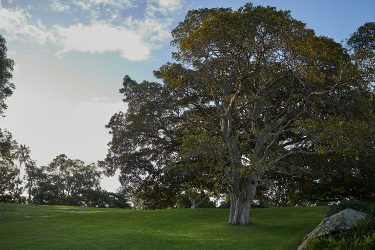 Kingsmen Park — Thousand Oaks
