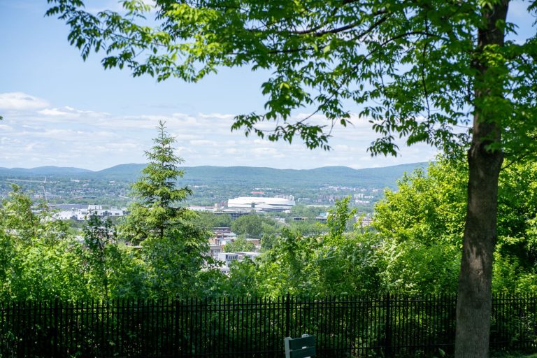 Goat Hill Overlook (Lehigh Parkway / South Mountain) — Allentown