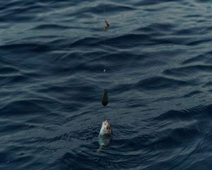 Hudgins Bait & Tackle – Deep Creek — Chesapeake