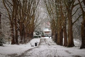 Snow Hinton Park — Montgomery