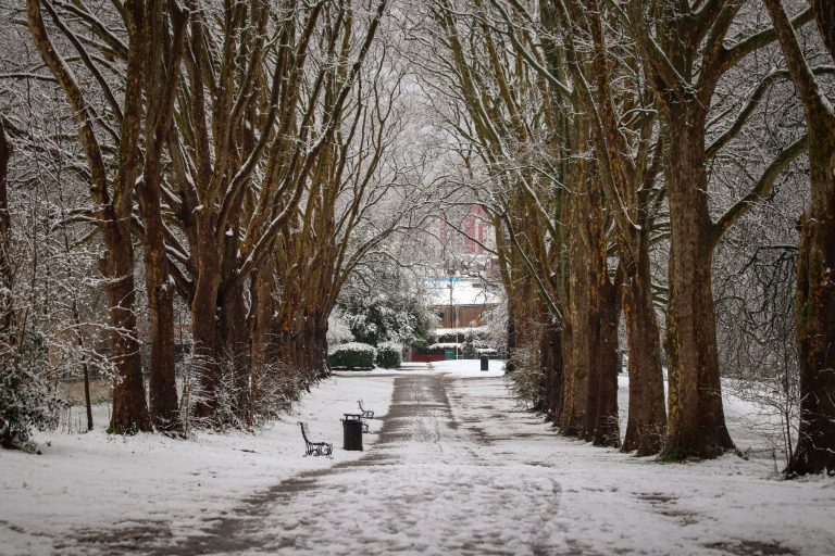 Snow Hinton Park — Montgomery