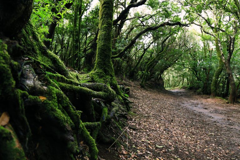Laurel Highlands Hiking Trail — Uniontown