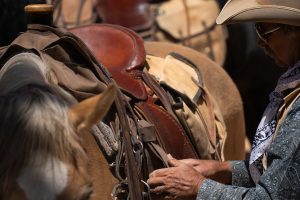 Peruna's Saddlery & Western Wear — Denison