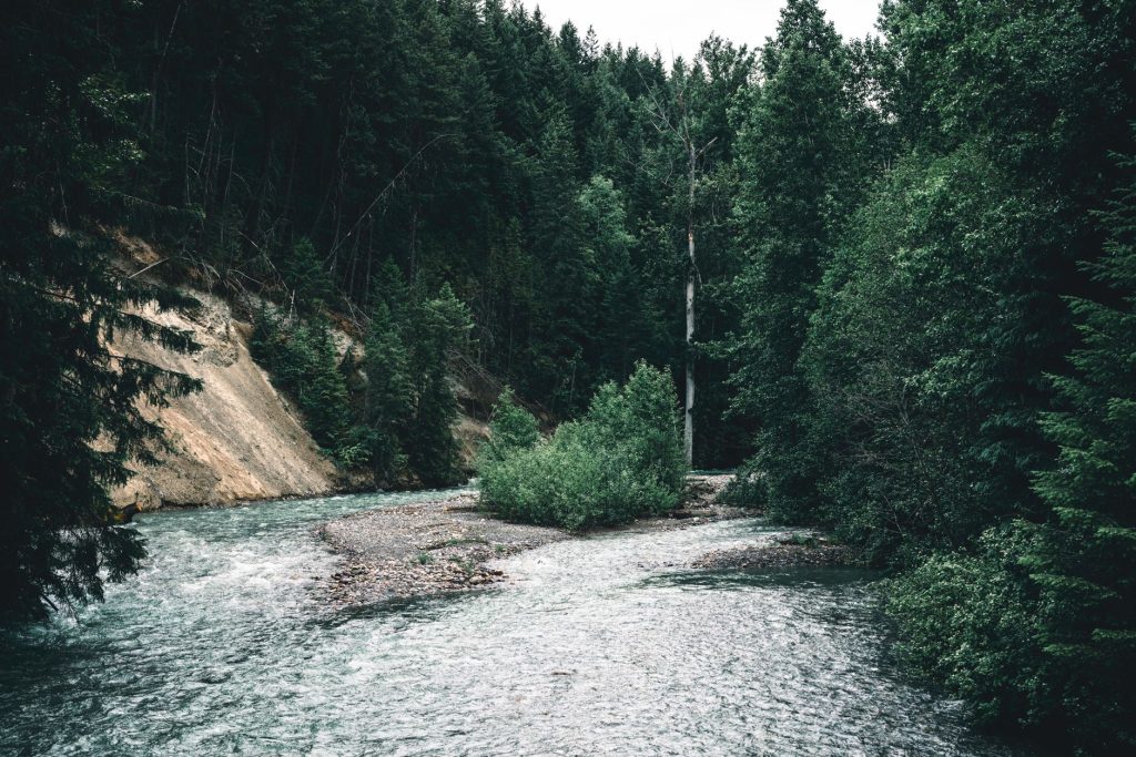Sawmill Park (Carson National Forest) — Red River