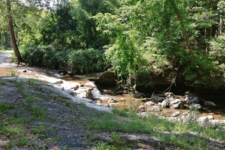 Caney Creek Trail – Lewisville — Lewisville