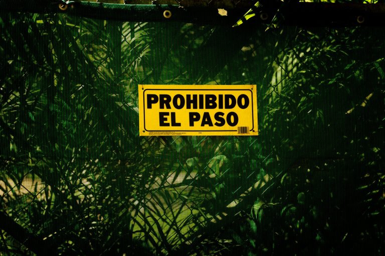 El Paso Barbacoa – Irving — Irving