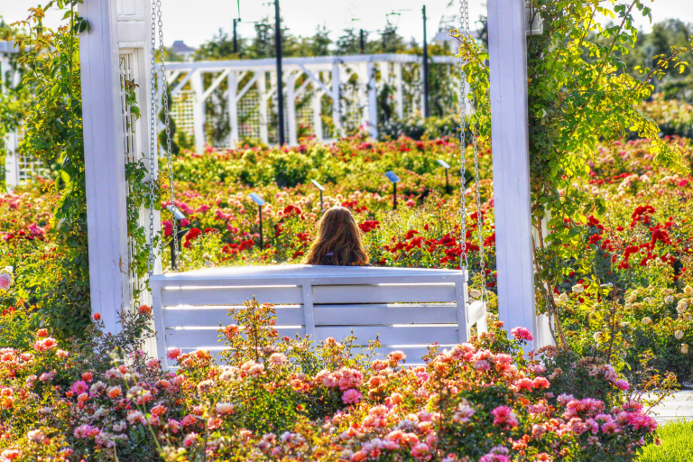 Allentown Rose Garden at Cedar Beach — Allentown