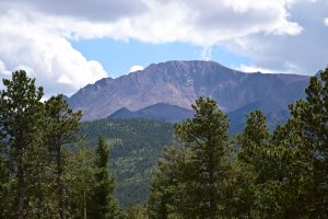 Pikes Peak Winery — Woodland Park