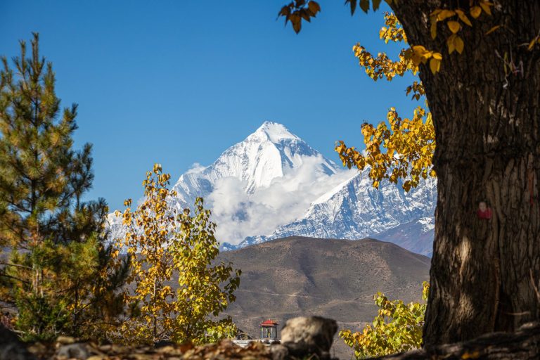 Himal Chuli — Madison