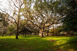 Circa Restaurant at The Mansion on Forsyth Park — Savannah