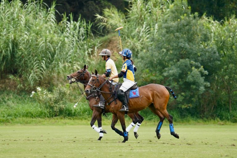 Conejo Valley Polo Club — Thousand Oaks