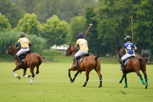 Big Horn Polo Club at the Big Horn Equestrian Center — Sheridan