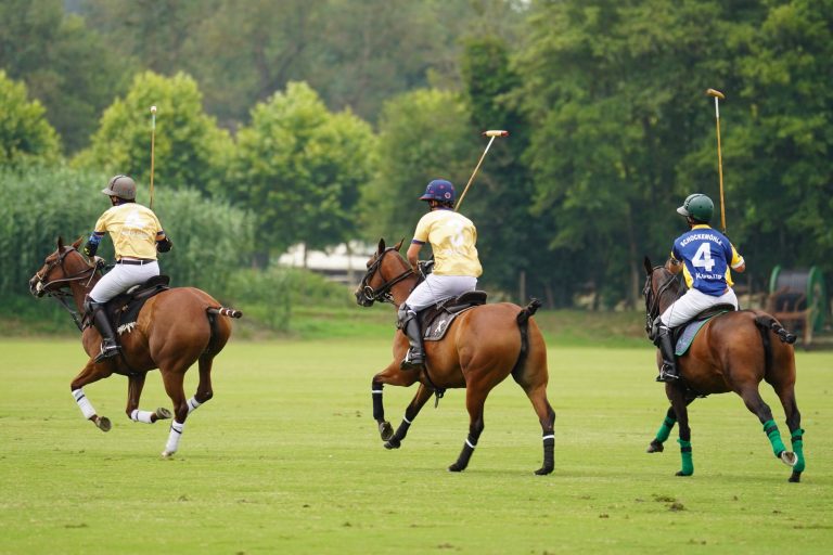 Big Horn Polo Club at the Big Horn Equestrian Center — Sheridan