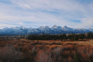 Caldera Provisions — Jackson Hole