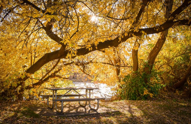 Giving Tree Fermentery — Boise