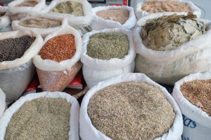 Gulfport Tuesday Fresh Market — Tampa Bay