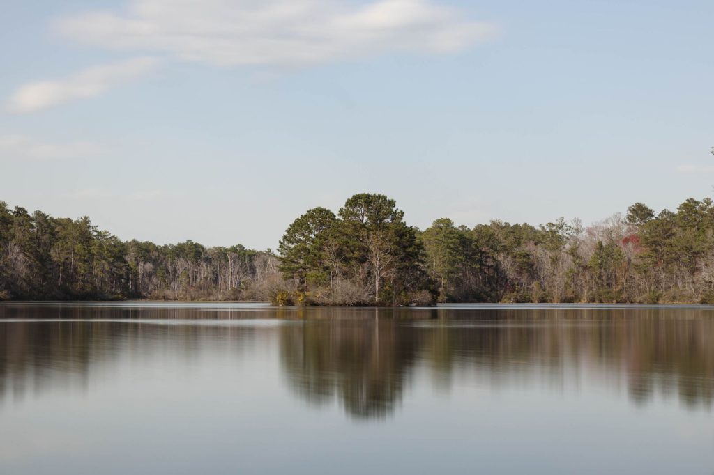 Stono Preserve Trail at James Island County Park — Charleston