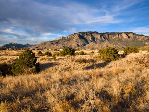Albuquerque Open Space – Candelaria Nature Preserve — Albuquerque