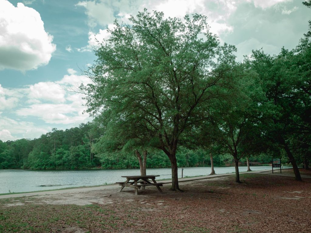 Lake Texarkana State Park & Recreational Area (Humphrey's Landing) — Texarkana