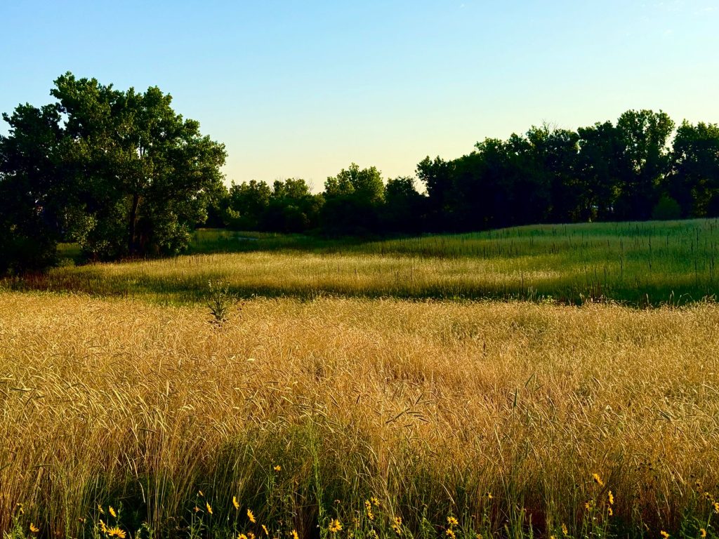 Illinois Prairie Path – Aurora Trailhead (Highland Avenue) — Aurora