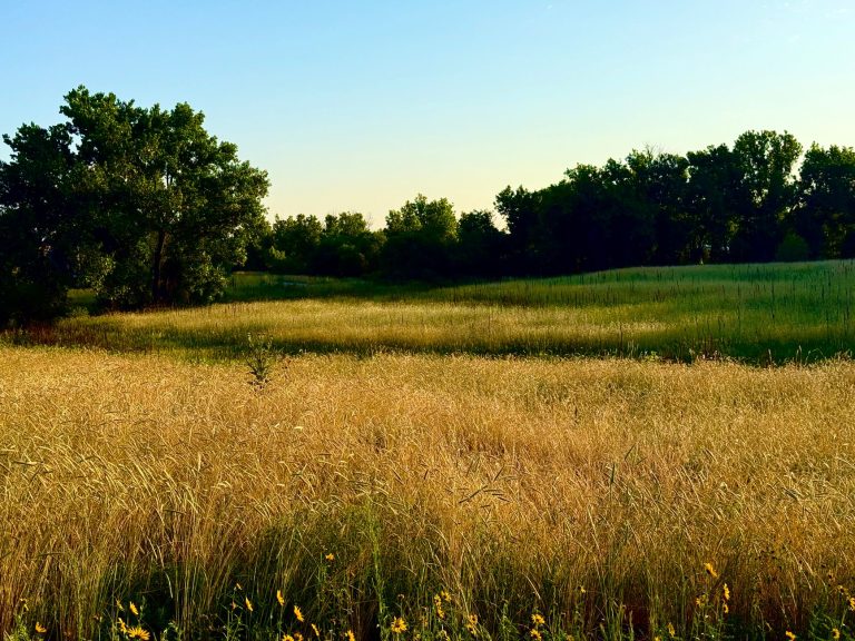 Illinois Prairie Path – Aurora Trailhead (Highland Avenue) — Aurora