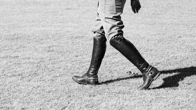 Big Horn Equestrian Center Polo Grounds — Sheridan