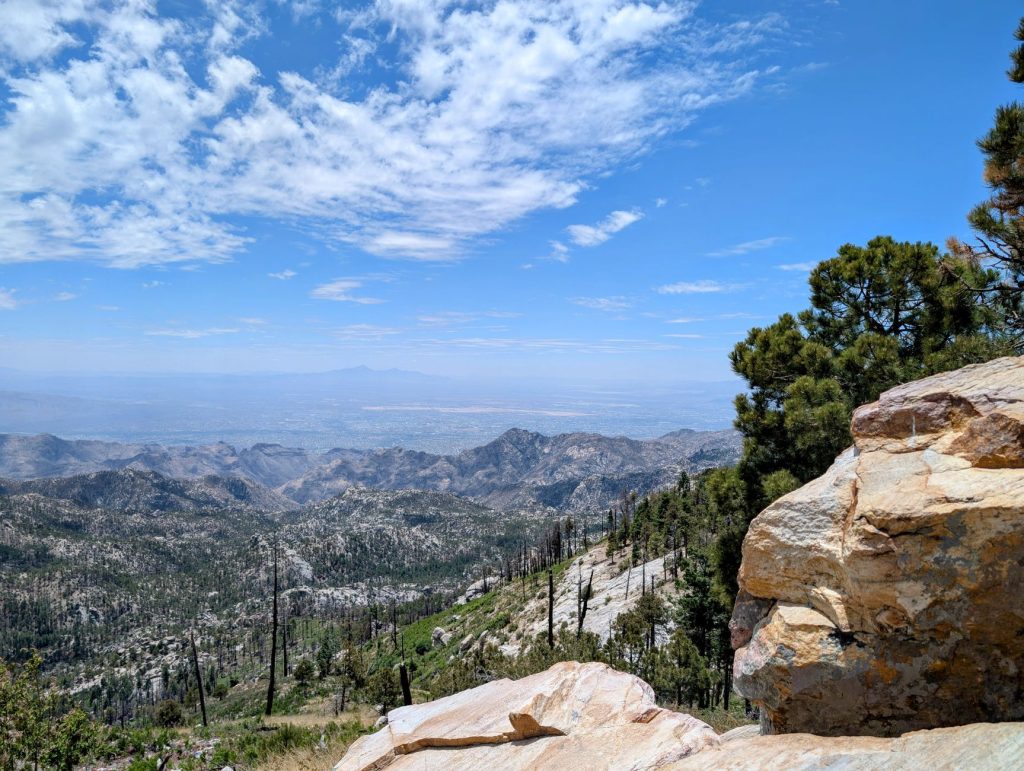 Mount Lemmon Cookie Cabin — Tucson