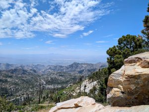 Mount Lemmon Cookie Cabin — Tucson
