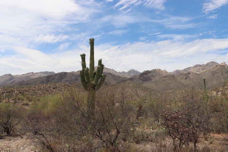 Linda Vista Trail at Tortolita Mountain Park — Tucson