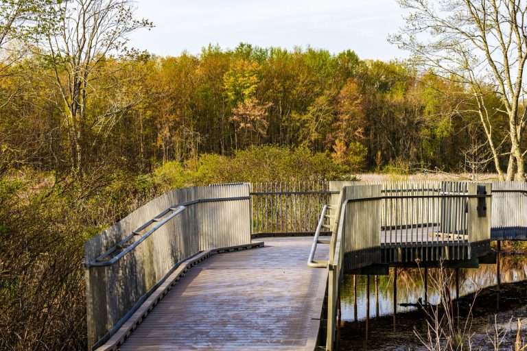 The Wharf at Cameron Run Regional Park — Alexandria