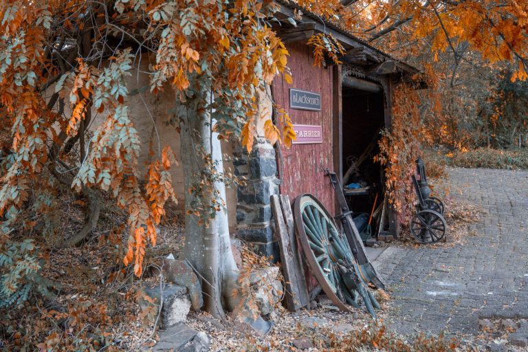 The Shed at Picacho Hills — Las Cruces