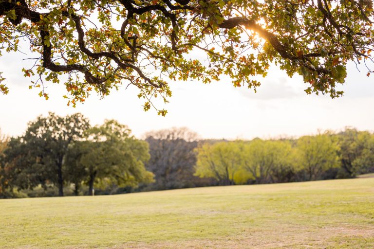 Mattie's at Green Pastures — Austin