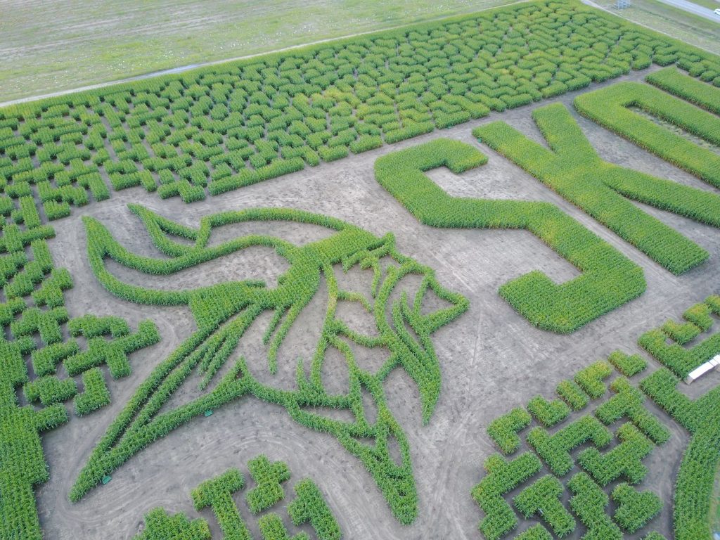 Black Hills Maze and Family Fun Park — Rapid City