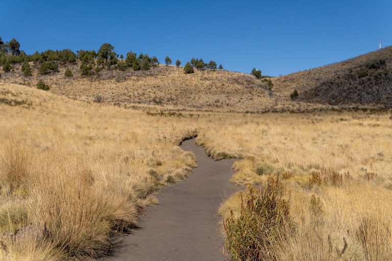 Acequia Trail at UTEP / Memorial Park Area — El Paso
