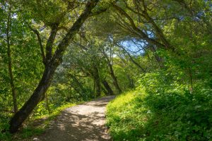 Wildwood Regional Park – Paradise Falls Trail — Thousand Oaks