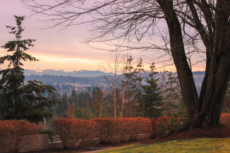 Sunset Bluff Overlook at Sunset Neighborhood Park — Renton