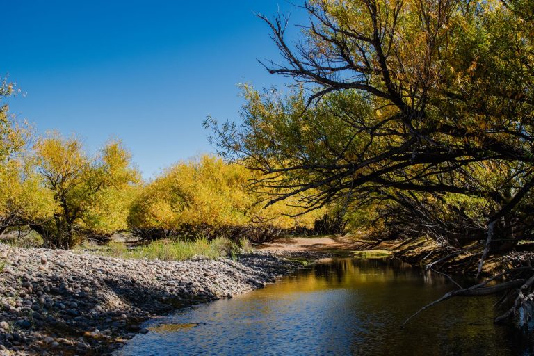 Buckner Creek Trail – Mesquite — Mesquite