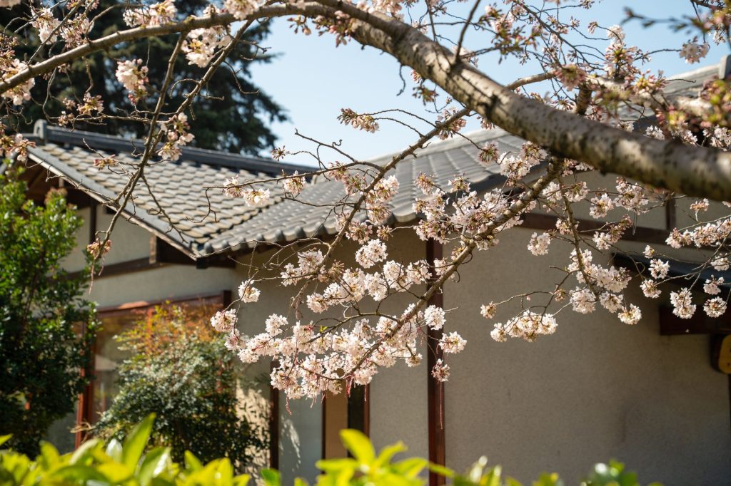 Sakura Gardens Japanese Restaurant — Garland