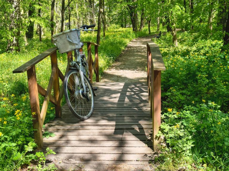Portage Hike & Bike Trail (Summit Metro Parks) — Akron