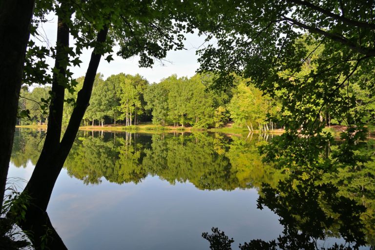 Mosquito Lake at Craighead Forest Park — Jonesboro