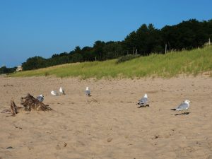 Jamesville Beach Park — Syracuse