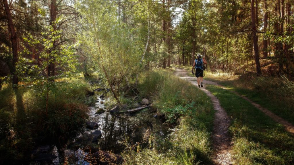 Spring Creek Trail — Billings