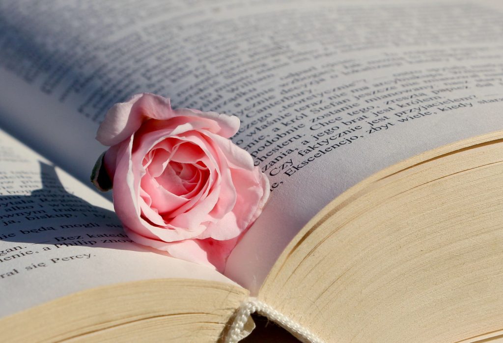 Bookworm Gardens — Kenosha